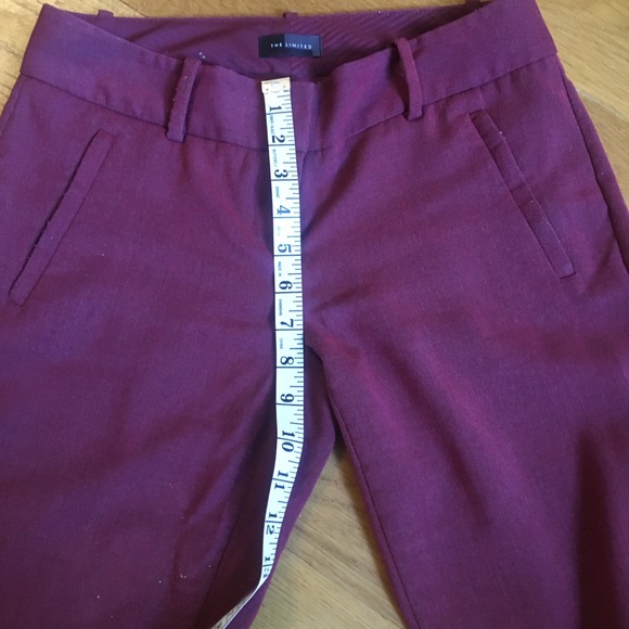 The Limited Red Petite Pants - Picture 12 of 16